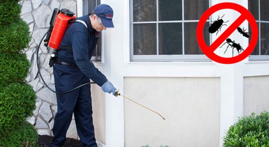 Ataşehir Bit İlaçlama böcek ilaçlama ve haşere kontrolü — ilaclama-tr.com